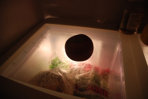 No, this is not a solar eclipse (above). It’s an apple placed on the glass shelf of my fridge, to block the point source of light and better reveal the accumulated sludge. In the photo below, the shelf is completely clean thanks to a homemade solution of baking soda and water. 